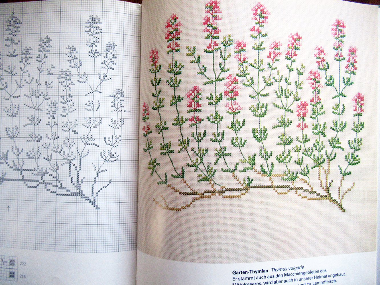 1978 Danish Handcraft Guild cross stitch "Herbs & Wild Plants" by Gerda Bengtsson - Image 2