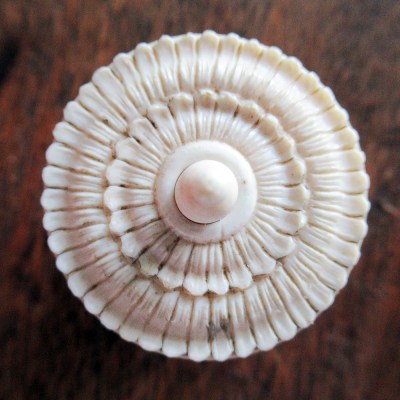 large hand carved bone 19th century silk thread barrel